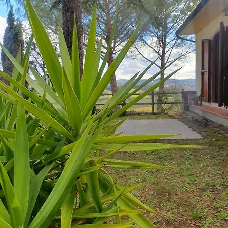 Holiday home 8380 Terme Dependance Saturnia