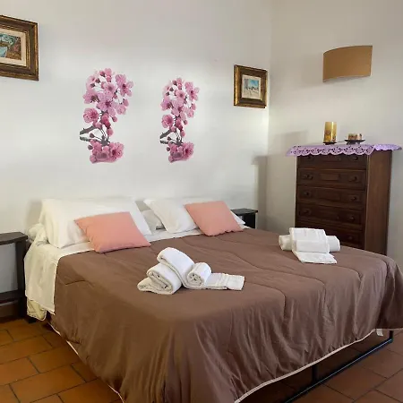 8380 Terme Dependance * Saturnia