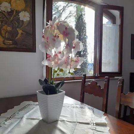 8380 Terme Dependance Tatil Evi